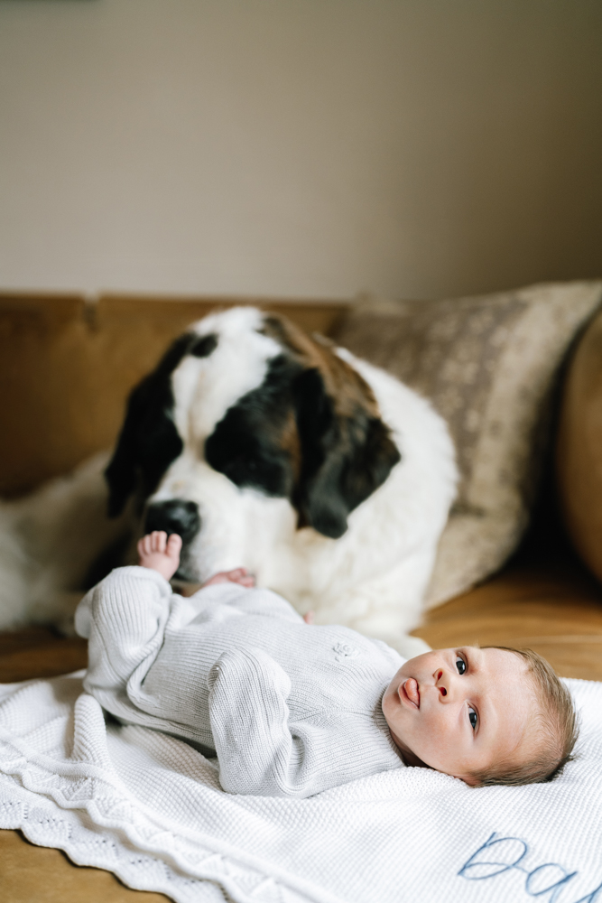 Newborn baby lying on couch with family dog during in-home lifestyle session